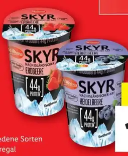 Lidl Milbona Skyr Angebot