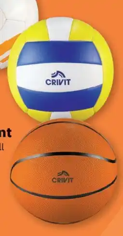 Lidl Crivit Ball Sortiment Angebot
