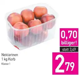 Sutterlüty Nektarinen Angebot