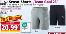 Norma Puma Sweat-Shorts Team Goal 23 Angebot