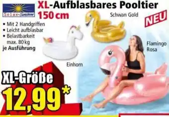 Norma XL-Aufblasbares Pooltier Angebot