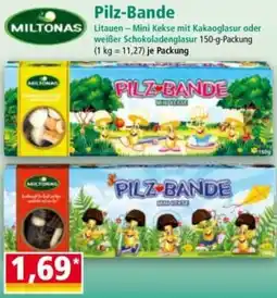 Norma Pilz-Bande Angebot