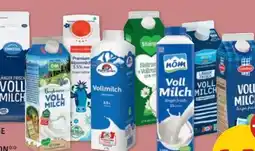 PENNY Nöm Vollmilch Angebot