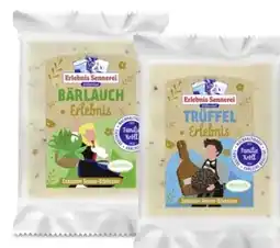 MPreis Erlebnis Sennerei Zillertal Käse-Genuss-Erlebnisse Angebot