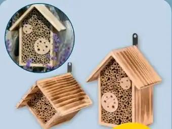 PENNY Insekten-Nisthilfen Angebot
