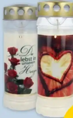 PENNY Hofer Kerzen Premium 7-Tage Grablicht Angebot