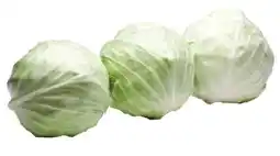Transgourmet Weißkraut Angebot