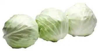 Transgourmet Weißkraut Angebot
