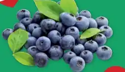 PENNY Echt Bio Heidelbeeren Angebot