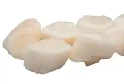 Transgourmet Jakobsmuscheln U10 Angebot