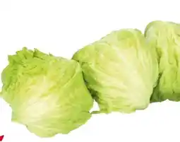 Transgourmet Eisbergsalat Angebot