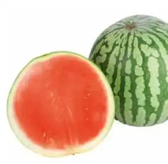 Transgourmet Wassermelonen Kernarm Angebot