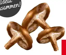 Transgourmet Shiitake Pilze Angebot
