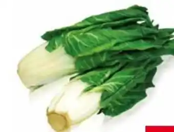 Transgourmet Pak Choi Angebot