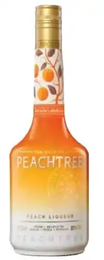 Transgourmet Peachtree Pfirsich Likör Angebot