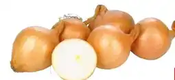 Transgourmet Natürlich für uns Bio Zwiebel Angebot
