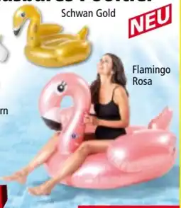 Norma Solax-Sunshine XL-Aufblasbares Pooltier Angebot