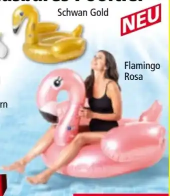 Norma Solax-Sunshine XL-Aufblasbares Pooltier Angebot
