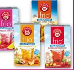 Norma Teekanne Frio Tee Angebot