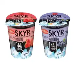 Lidl Skyr versch. Sorten Lidl Angebot