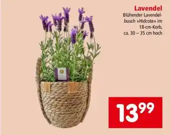 Interspar LAVENDEL Angebot