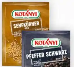 Billa Kotányi Grillgewürz Angebot