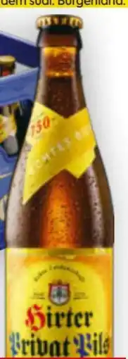 Billa Hirter Privat Pils Angebot