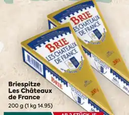 Billa Les Chateaux De France Briespitze Angebot