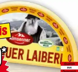 Norma Almsenner Pinzgauer Laiberl Angebot