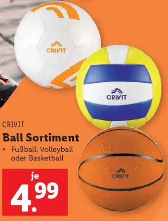 Lidl Crivit Ball Sortiment Angebot
