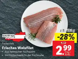 Lidl Frisches Welsfilet Angebot