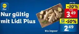 Lidl Bio Ingwer Angebot