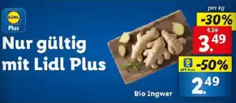 Lidl Bio Ingwer Angebot