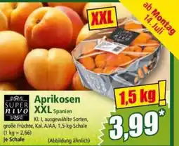 Norma Aprikosen XXL Angebot