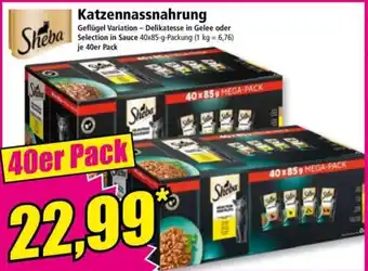 Norma Katzennassnahrung Angebot