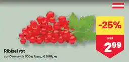 MPreis Ribisel rot Angebot