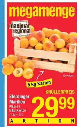 Maximarkt Eferdinger Marillen Angebot