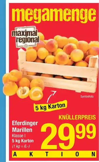 Maximarkt Eferdinger Marillen Angebot