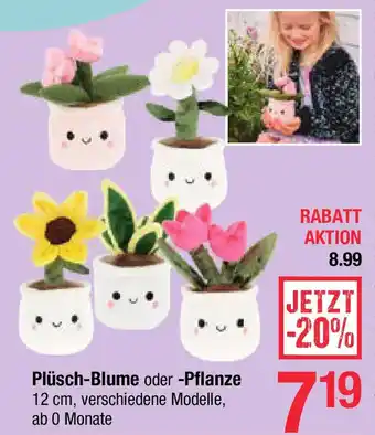 Maximarkt Plüsch Blume oder Pflanze Angebot
