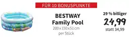 Der Grissemann Bestway Family Pool Angebot