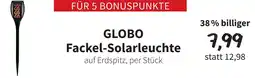Der Grissemann Globo Fackel Solarleuchte Angebot