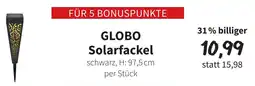 Der Grissemann Globo Solarfackel Angebot
