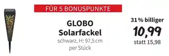 Der Grissemann Globo Solarfackel Angebot