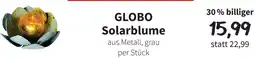 Der Grissemann Globo Solarblume Angebot