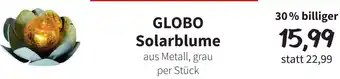 Der Grissemann Globo Solarblume Angebot