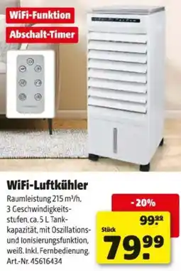 Hagebau WiFi Luftkühler Angebot