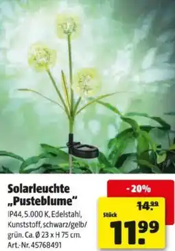 Hagebau Solarleuchte Pusteblume Angebot
