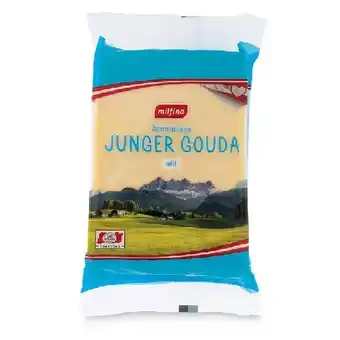 Hofer Gouda Mild HOFER Angebot