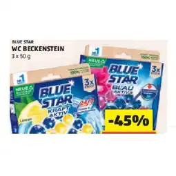 Hofer WC-Beckensteine versch. Sorten HOFER Angebot