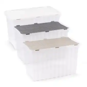 Hofer Aufbewahrungsbox HOFER Angebot